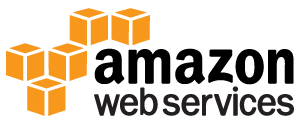 aws support services